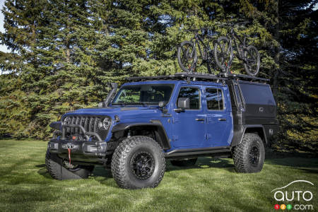 Jeep Top Dog